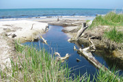 Insel Fischland/Darß/Zingst/Barth