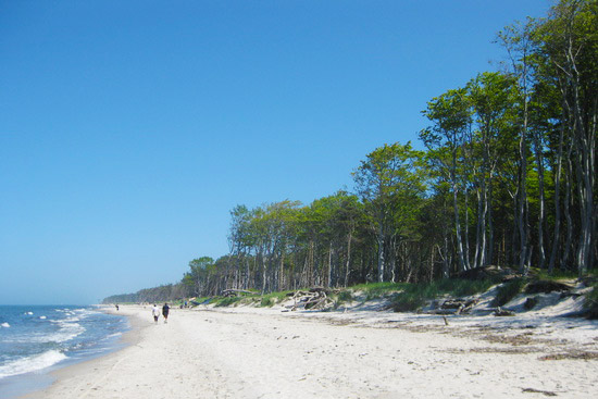 Insel Fischland/Darß/Zingst/Barth