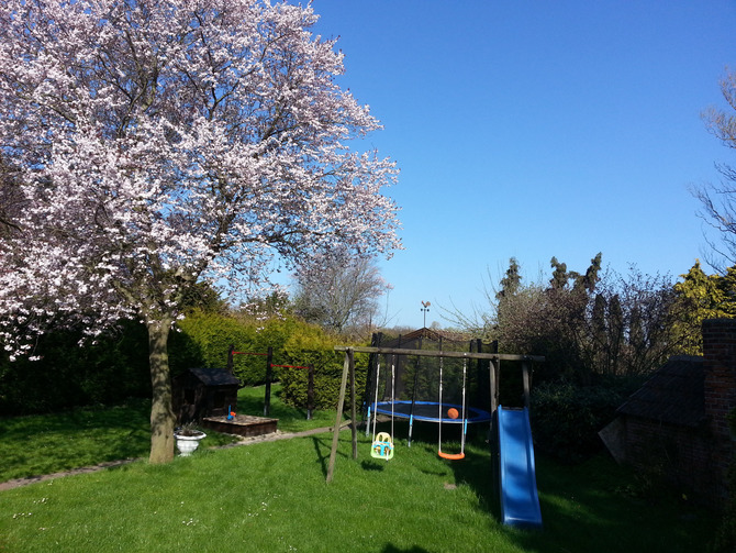 Ferienwohnung in Lenste - Ferienbauernhof Kruse Wohnung 2 - Bild 4