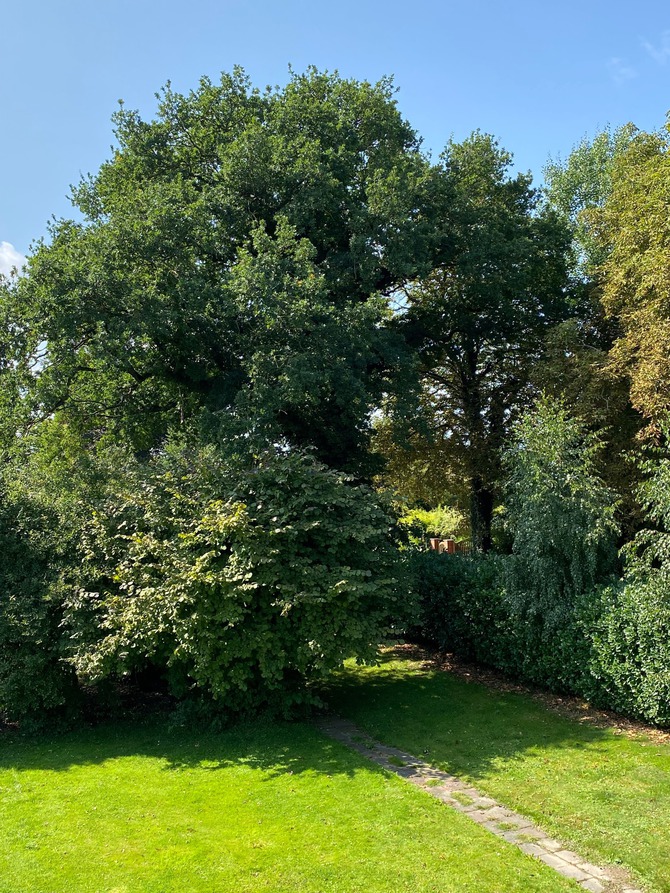 Ferienwohnung in Riepsdorf - Wohnung auf dem Lande - Blick vom Balkon