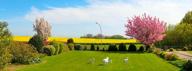 Ferienwohnung in Süssau - Seeblick - Bild 14