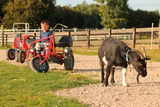 Ferienwohnung in Kabelhorst - Ferienhof-Lunau - Bild 10