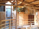 Ferienhaus in Carinerland - Kreativscheune Garvensdorf - Bild 4