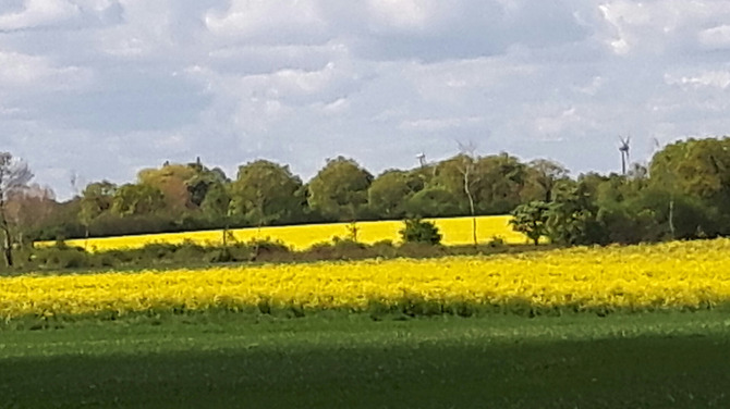 Ferienwohnung in Kabelhorst - Behm - Bild 14