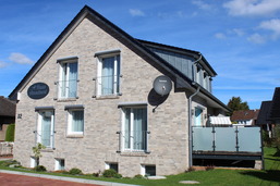 Amselnest