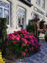 Ferienwohnung in Lütjenbrode - Residence Strandläufer - Bild 14