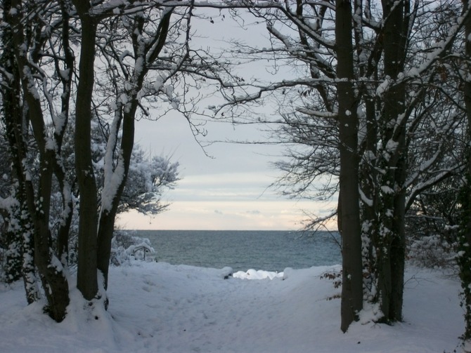 Ferienwohnung in Kühlungsborn - Strandstrasse-OstSeestern - Winter in Kühlungsborn