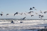 Ferienwohnung in Schwartbuck - Bromm - die Möven an der Ostsee