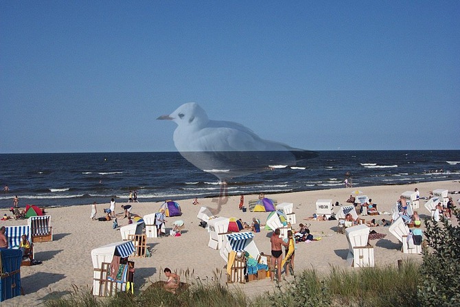 Ferienwohnung in Zinnowitz - Dünenstraße Skibbe - Strand in unmittelbarer Nähe