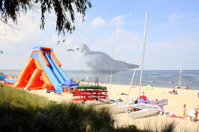 Ferienwohnung in Zinnowitz - Dünenstraße Skibbe - Sport-und Spielstrand in der Nähe