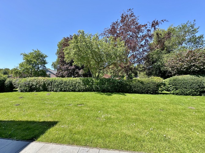 Ferienwohnung in Schönhagen - FerienWohnung Perlentaucher - Wiese hinter dem Haus