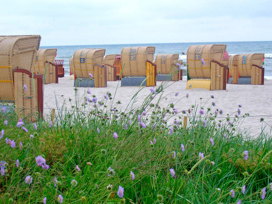 Ferienwohnung in Kellenhusen - Haus Sommerland EG 4 - Strand von Kellenhusen