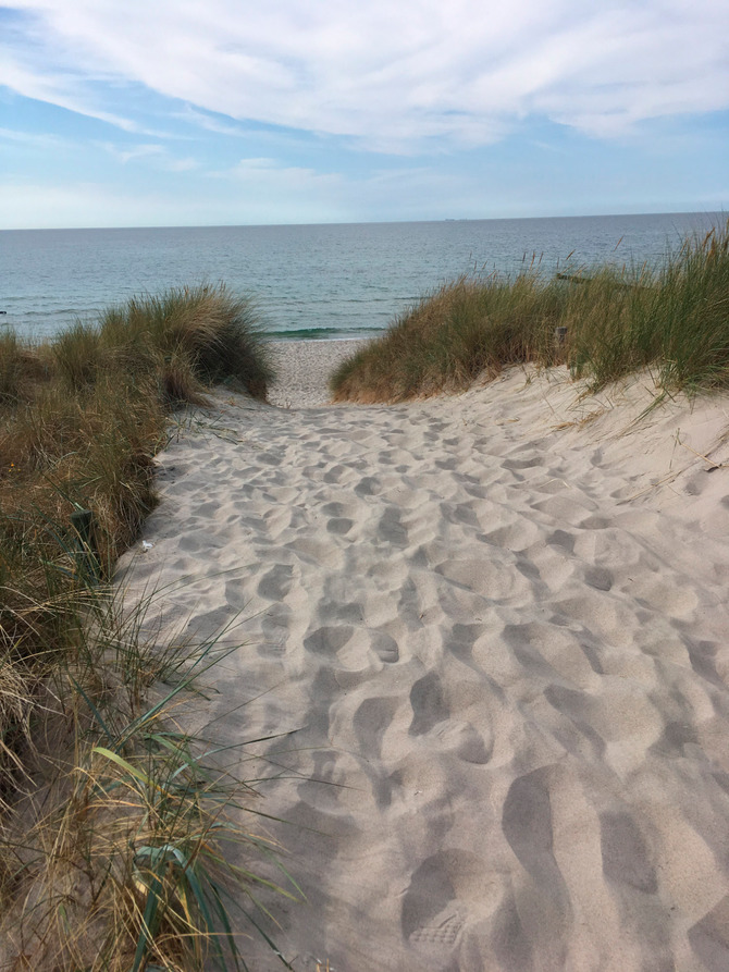 Ferienwohnung in Graal-Müritz - Ostseeperle - Der Strand