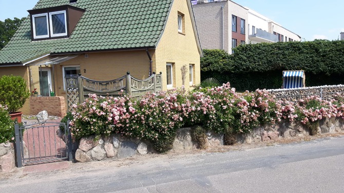 Ferienhaus in Heikendorf - Ferienhaus Steinke - Bild 4