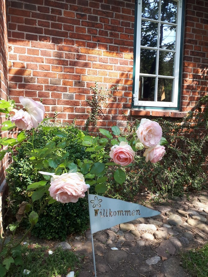 Ferienwohnung in Schönwalde - Reethaus Scheidekate - Bild 15