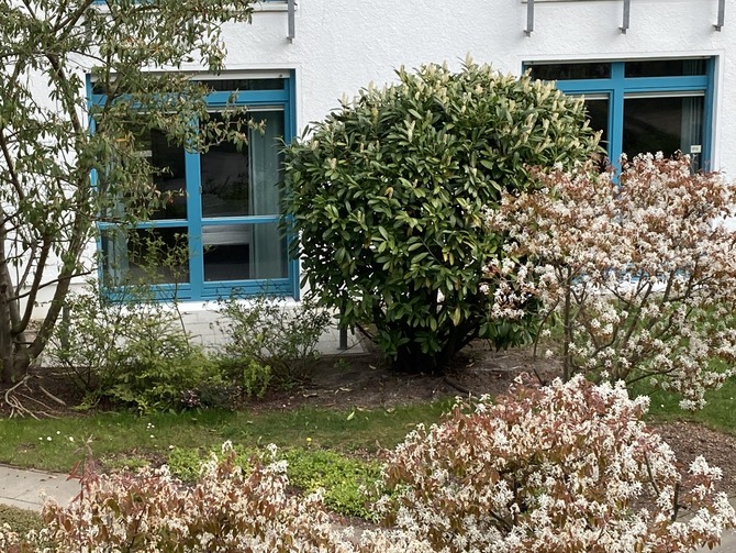 Ferienwohnung in Kühlungsborn - Strandstrasse-OstSeegarten - die beiden Schlafzimmer von aussen