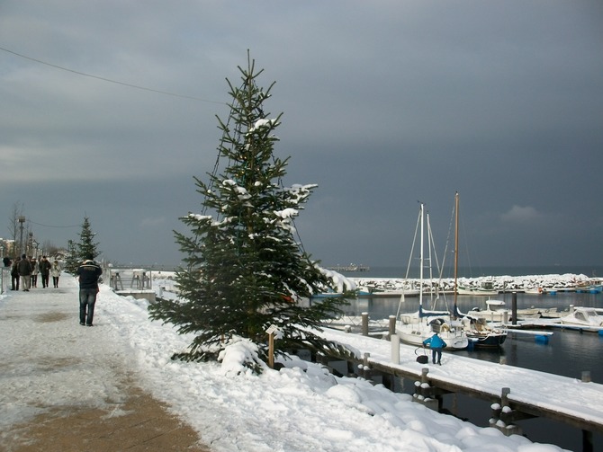 Ferienwohnung in Kühlungsborn - Strandstrasse-OstSeegarten - 500 Meter bis zum Hafen im Winter-im Sommer auch