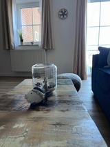 Ferienwohnung in Fehmarn OT Orth - Familienwohnung Harbour View - Bild 21