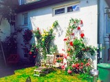 Ferienwohnung in Klingberg - romantische Ferienwohnung Sachsenhof 2 - Bild 20