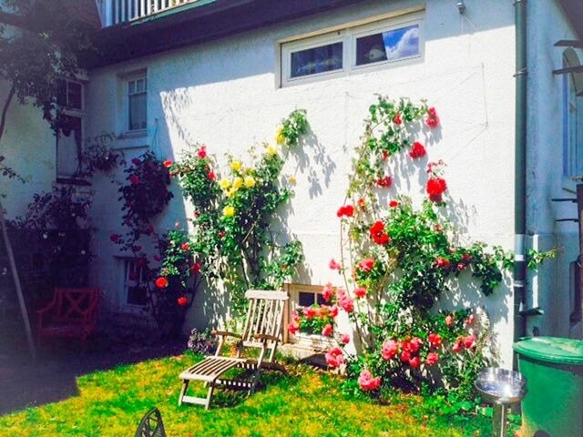 Ferienwohnung in Klingberg - romantische Ferienwohnung Sachsenhof 2 - Bild 20