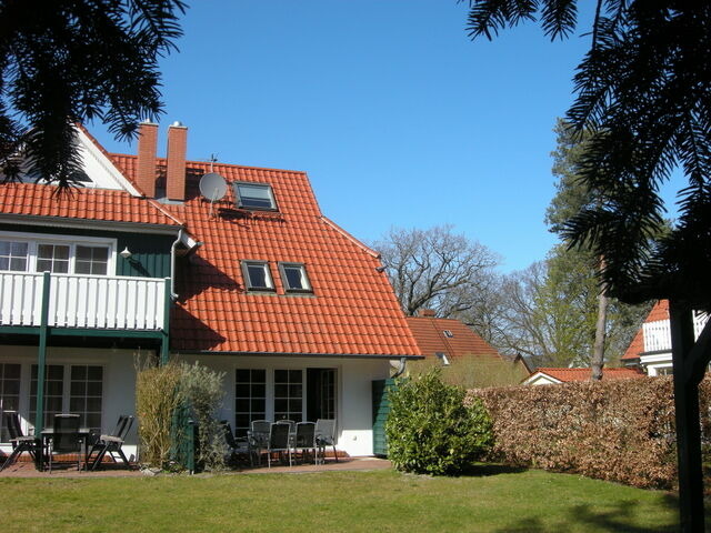 Ferienhaus in Prerow - Kormoran Muschelsucher - Bild 4