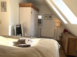 Ferienhaus in Prerow - Kormoran Muschelsucher - Bild 20