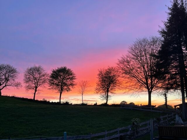 Ferienwohnung in Ascheffel - Wilsterberg FeWo "die Kleine" - Bild 18
