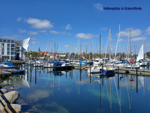 Ferienwohnung in Holtsee - Ohm - Bild 22