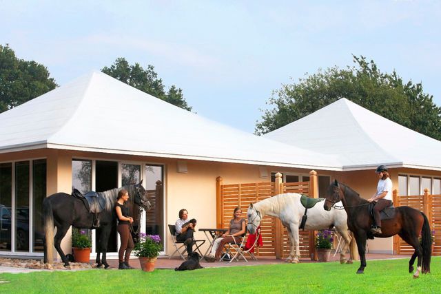 Ferienwohnung in Friedensthal - Kamaahr - Bild 14