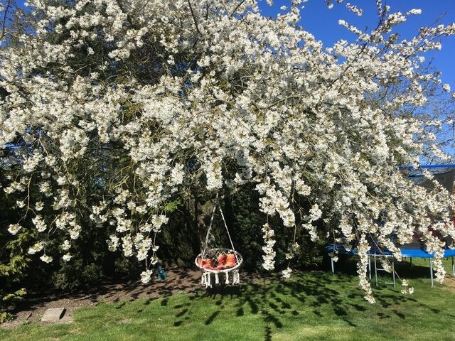 Ferienwohnung in Fehmarn OT Hinrichsdorf - Sonnenblume Nr.1 - Bild 15