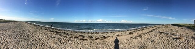 Ferienwohnung in Fehmarn OT Hinrichsdorf - Sonnenblume Nr.1 - Bild 22