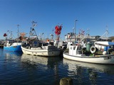 Ferienwohnung in Fehmarn OT Burg - FW Lippert - "Über den Dächern der Altstadt" - Bild 15