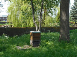 Ferienhof Bisdorf "Sundbr&uuml;cke"