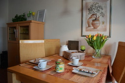 Stoltenberg, Mona & Sönke: Ferienapp. "Der Wikinger"