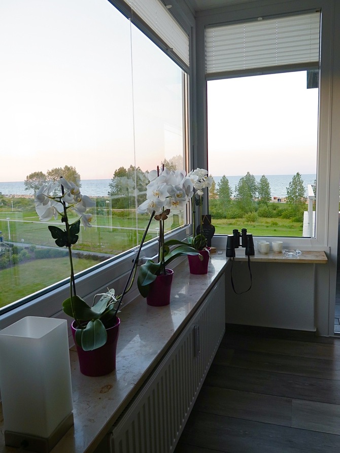Ferienwohnung in Gr&ouml;mitz - Ostseeblick Hanseat I Gr&ouml;mitz - Bild 7