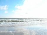 Ferienwohnung in Haffkrug - Strandläufer - Bild 6
