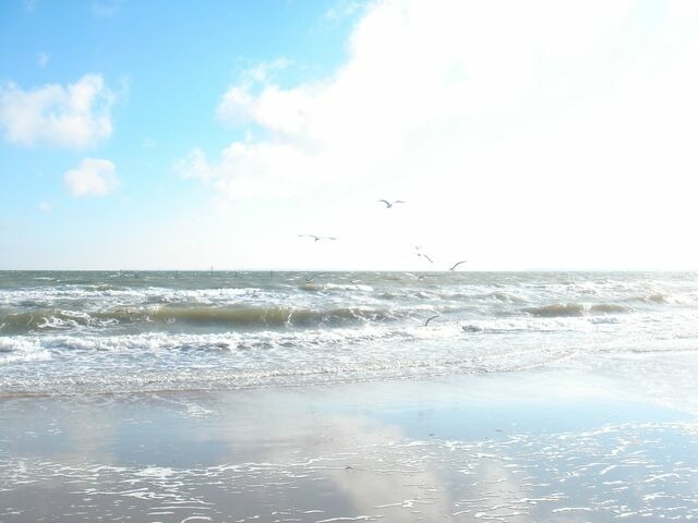 Ferienwohnung in Haffkrug - Strandläufer - Bild 6