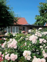 Ferienwohnung in Riepsdorf - "Rosenkate 1" - Bild 1