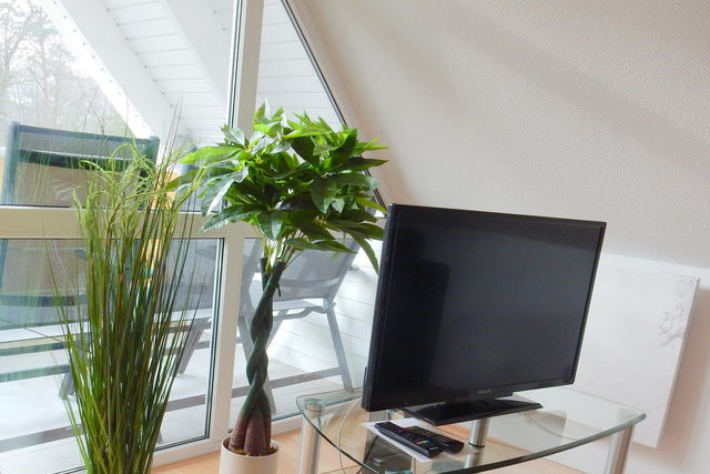 Ferienwohnung in Prerow - Hinter den D&uuml;nen D60 - Bild 11