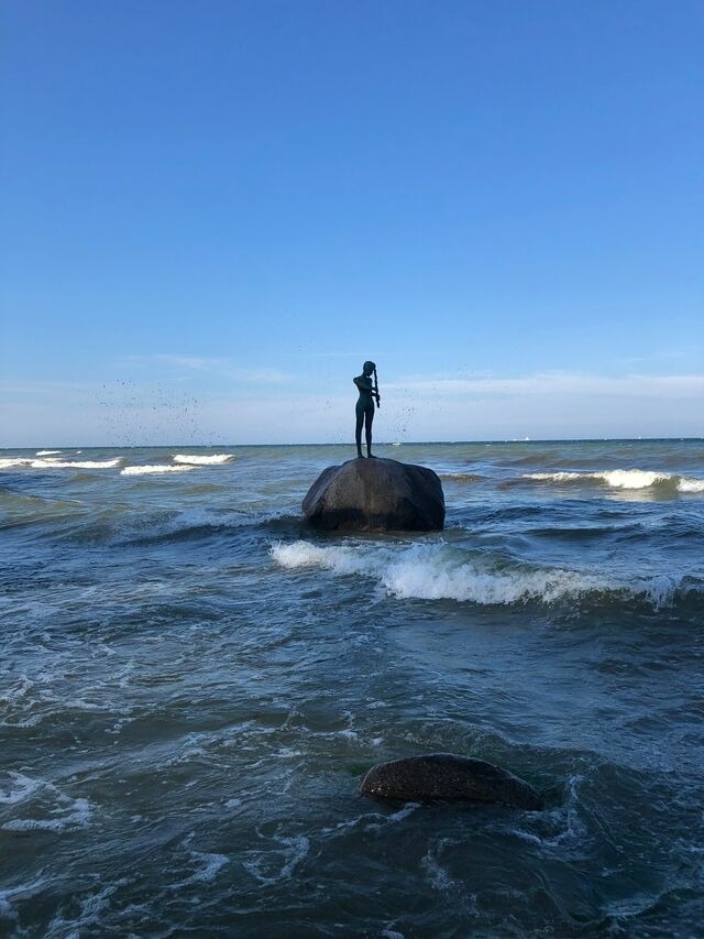 Ferienwohnung in Sellin - Ferienhaus zum S&uuml;dstrand App. 2 - Bild 16