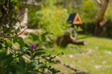 Ferienwohnung in Wustrow - reetgedecktes FH am Deich 2/2 - Bild 16
