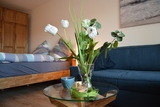 Ferienwohnung in Holm - Koops, Britta: Ferienapp. "Möwennest" (Nr. 008) im "Haus Kiel" - Bild 5