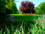 Ferienhaus in Hohwacht - Ferienhaus Tilling - Garten