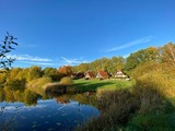 Ferienhaus in Marlow - Finnhäuser am Vogelpark - Haus Andrea - Bild 16