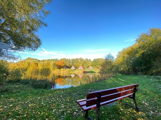 Ferienhaus in Marlow - Finnhäuser am Vogelpark - Haus Luise - Bild 17