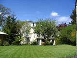 Ferienwohnung in Klütz - Palm Ferienhaus - Grün - Bild 8