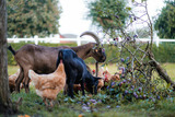 Ferienwohnung in Klaustorf - Meeresrauschen (Whg. 5) - Bild 16