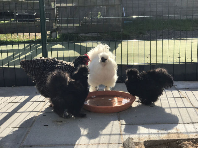 Ferienwohnung in Fehmarn OT Staberdorf - Bauernhaus 2, inkl. 1 Parkplatz - Bild 10
