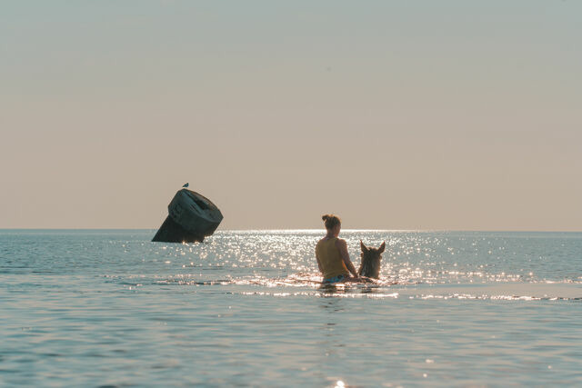 Ferienwohnung in Fehmarn OT Westermarkelsdorf - Brise - Bild 23