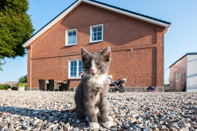 Ferienwohnung in Fehmarn - Wohnung 1 - Bild 16